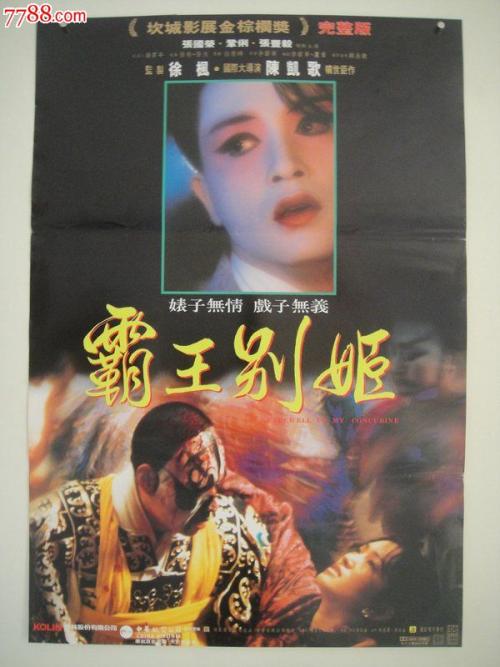 仿制智利驾驶证